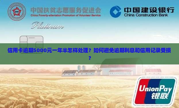 5000信用卡逾期一年半如何解决 5000信用卡逾期一年半如何解决