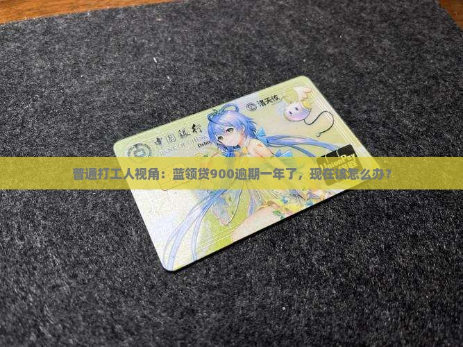 蓝领贷900逾期一年