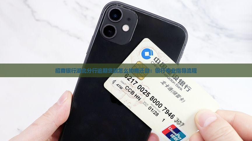 湖北招商银行逾期协商还款应该如何进行