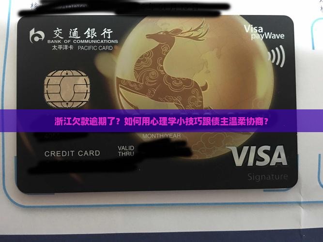 浙江个人欠款逾期怎么协商