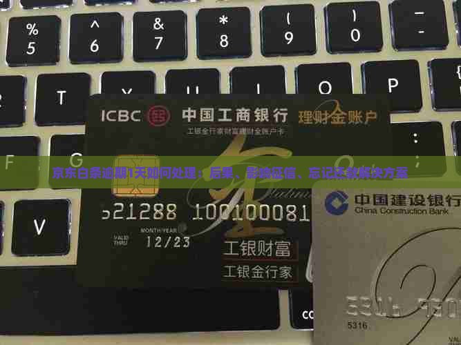 京东白条逾期1天如何处理 京东白条逾期1天如何处理