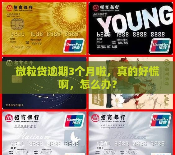 微粒贷逾期3月了