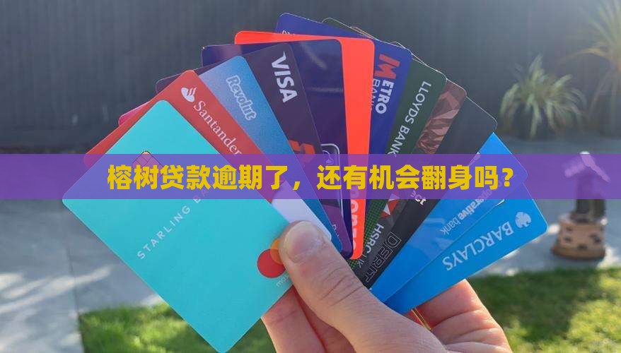 榕树贷款逾期怎么还款 榕树贷款逾期怎么还款