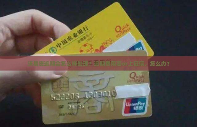 沃易贷逾期会怎么样处理