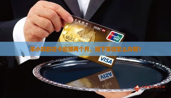 羊小咩享花卡逾期了两个月怎么办