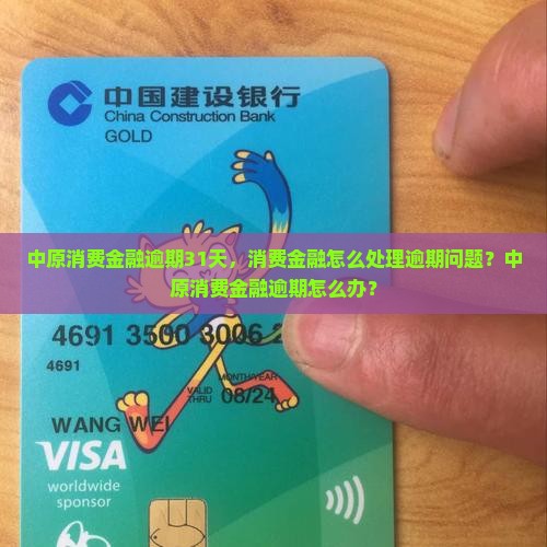 中原消费金融逾期31天怎么办