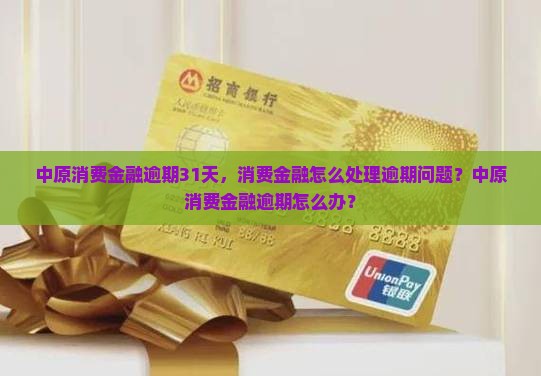 中原消费金融逾期31天怎么办