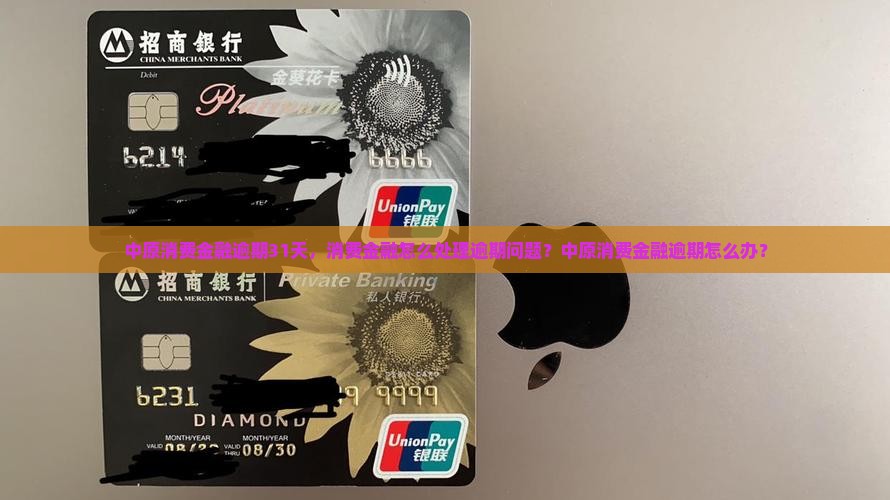 中原消费金融逾期31天怎么办