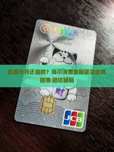 海尔消费金融逾期半月怎么办
