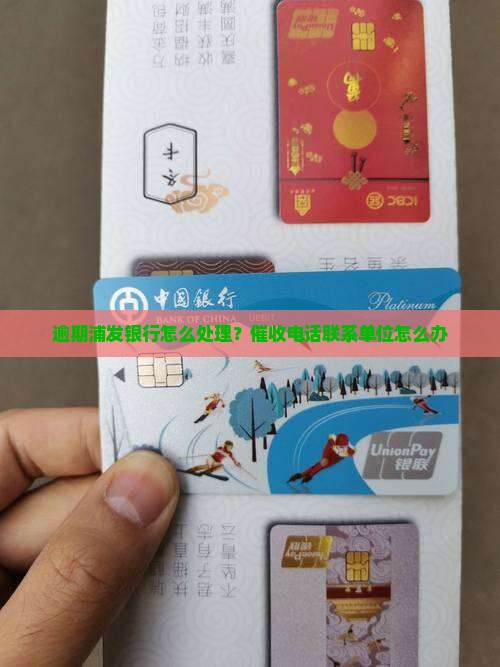 欠浦发银行打单位怎么办