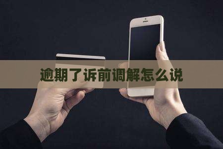 逾期了诉前调解怎么说