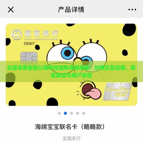 北银消费金融公司停息挂账真相揭秘
