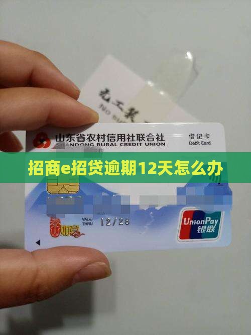 招商e招贷逾期12天怎么办