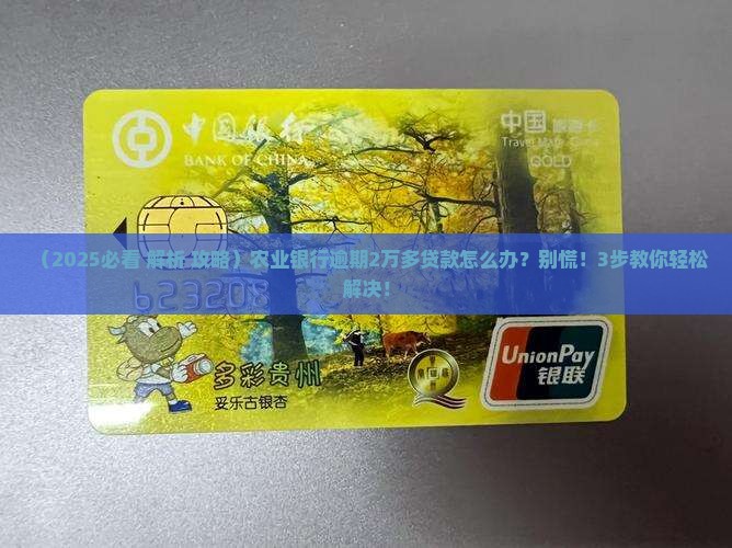 农业银行逾期2万多贷款严重吗