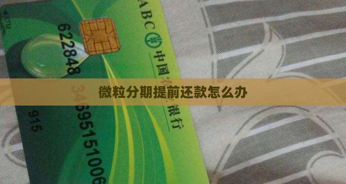 微粒贷分期提前到期怎么办
