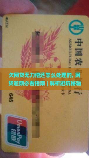 欠网贷无力偿还怎么处理的