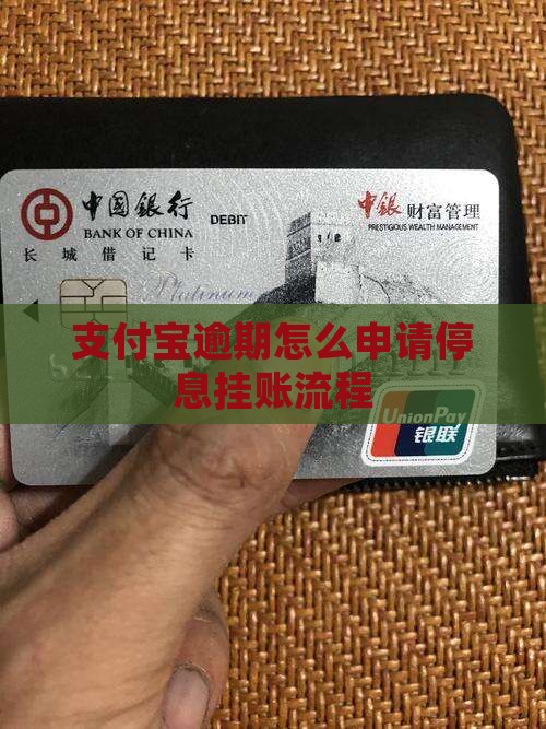 个人支付宝停息挂账流程