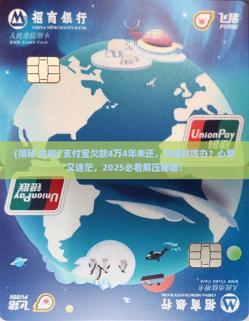支付宝欠款4万4年未还