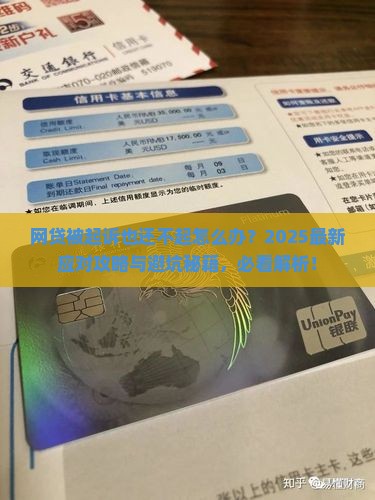 网贷被起诉也还不起怎么应对