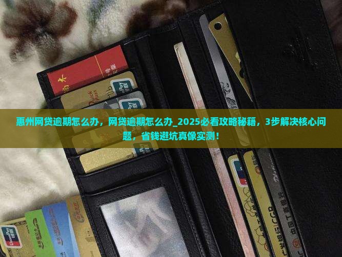 惠州网贷逾期怎么办
