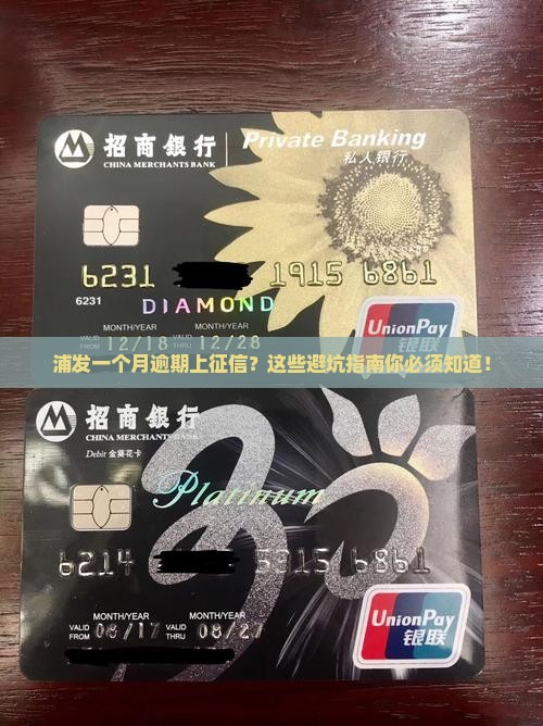 浦发一个月逾期上征信如何处理