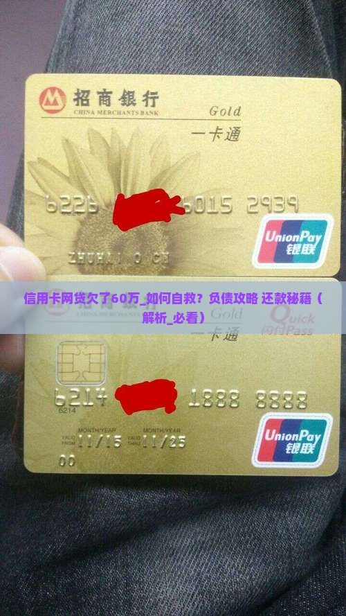 信用卡网贷欠了60万