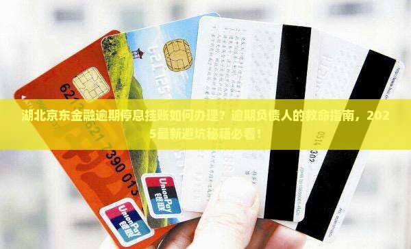湖北京东金融逾期停息挂账如何办理