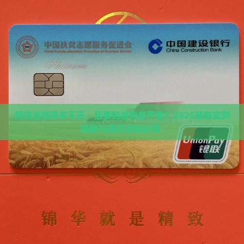 网贷逾期两年不还会怎样