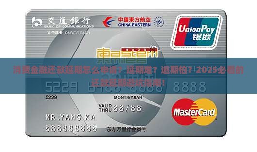 消费金融还款延期怎么申请