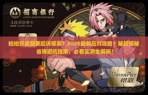 拍拍贷逾期要起诉报案及应对措施分享