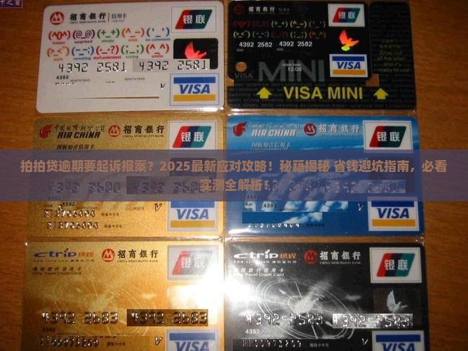 拍拍贷逾期要起诉报案及应对措施分享