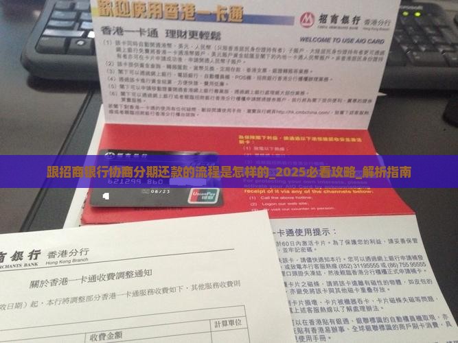 跟招商银行协商分期还款的流程是怎样的
