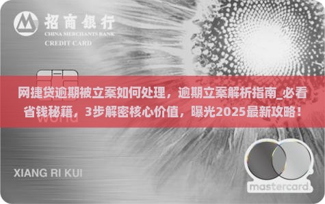 网捷贷逾期被立案如何处理