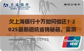 欠上海银行十万如何偿还