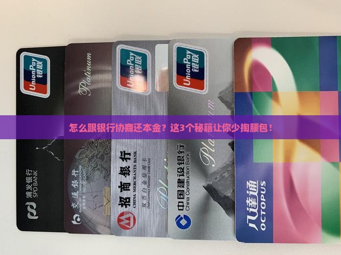 怎么跟银行方协商偿还本金