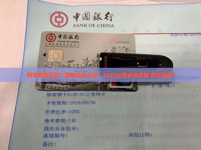 网贷逾期是跟谁协商还款