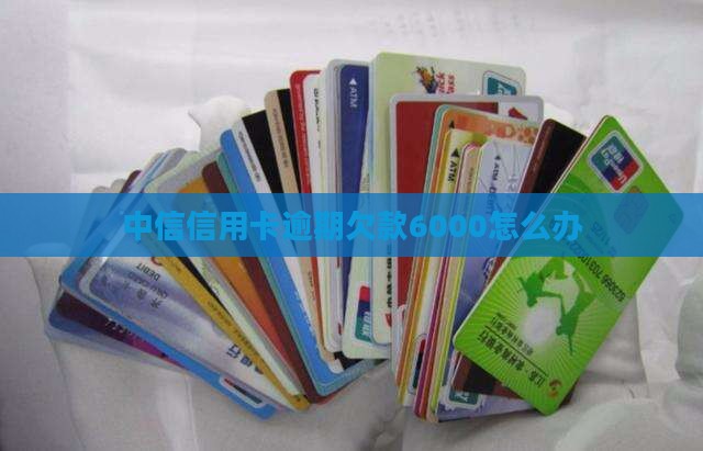 中信信用卡欠款6000怎么办