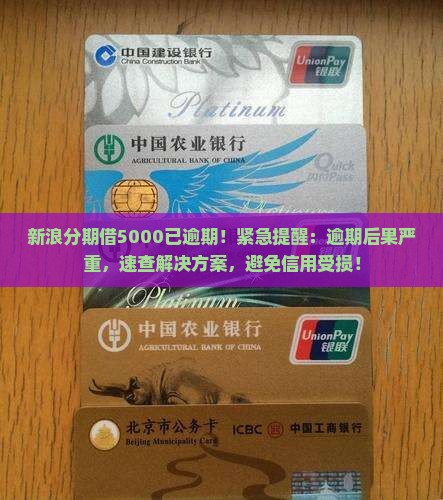 新浪分期借5000已逾期
