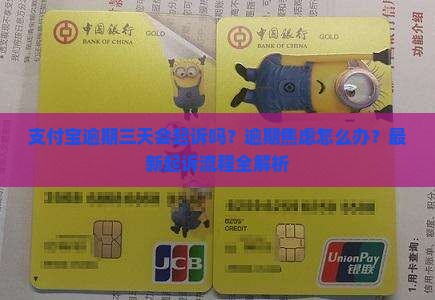 支付宝逾期三天起诉流程详解