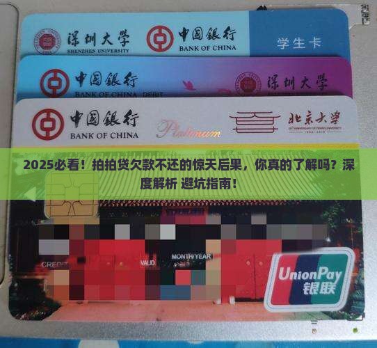 拍拍贷上借的钱不还的后果严重吗