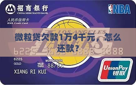 欠微粒贷1万4千元怎么还款