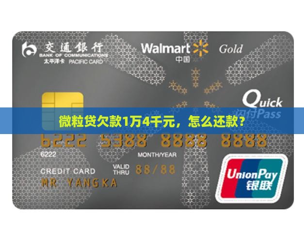 欠微粒贷1万4千元怎么还款