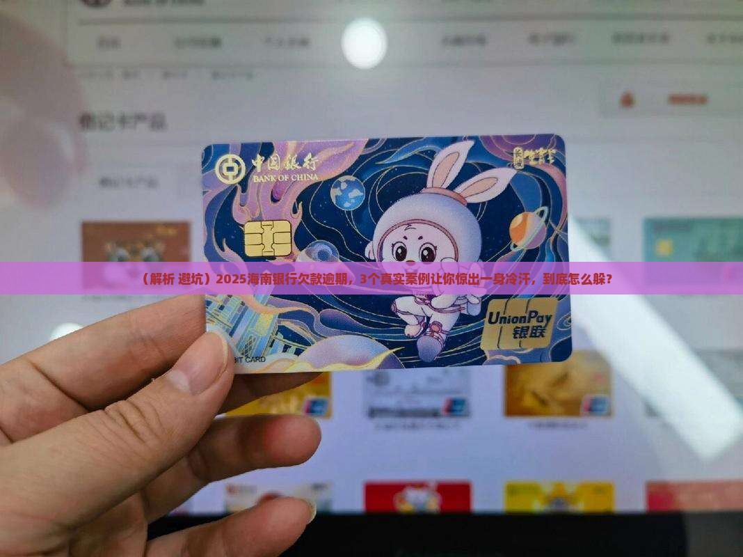 海南各银行欠款逾期案例分析