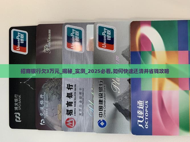 招商银行欠3万元