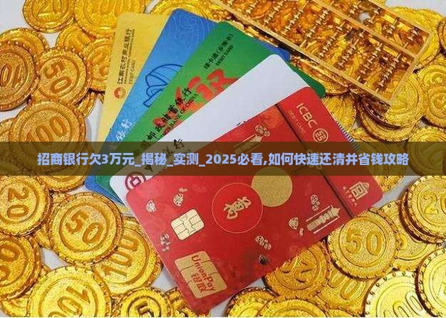 招商银行欠3万元