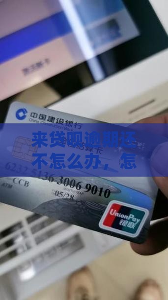 来贷呗还不起怎么办处理方式