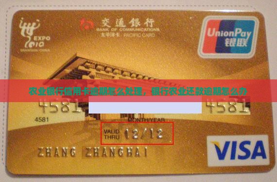 普宁市农业银行还款逾期如何处理