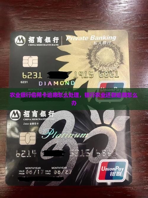 普宁市农业银行还款逾期如何处理
