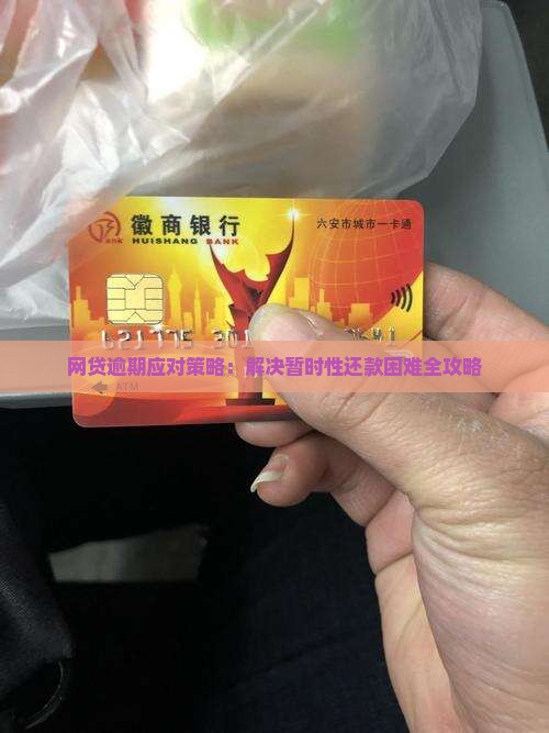 网贷逾期应对策略：解决暂时性还款困难全攻略