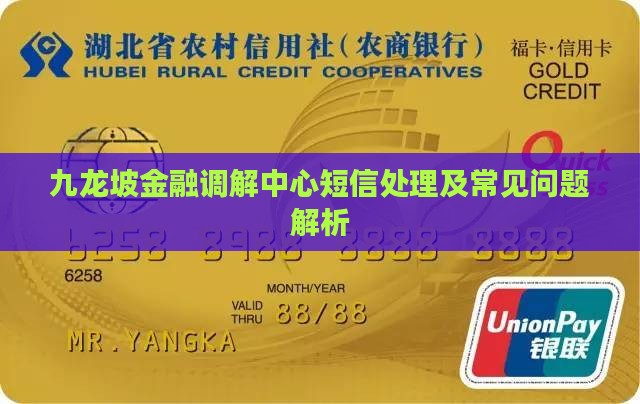 九龙坡金融调解中心短信处理及常见问题解析